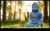 Cronicile calmului dezvăluind meditația
